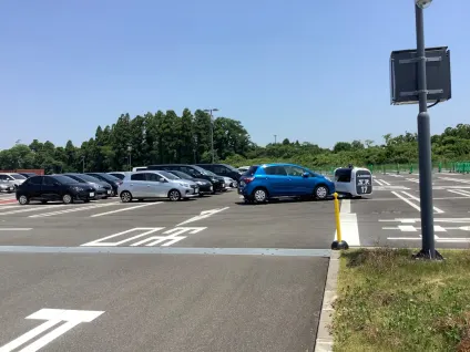 كازينو الايبي تطبيق الهاتف المحمول